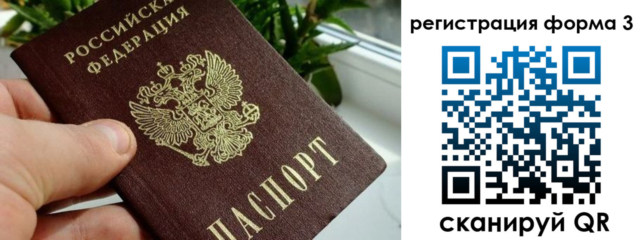 прописка штамп в Камбарке